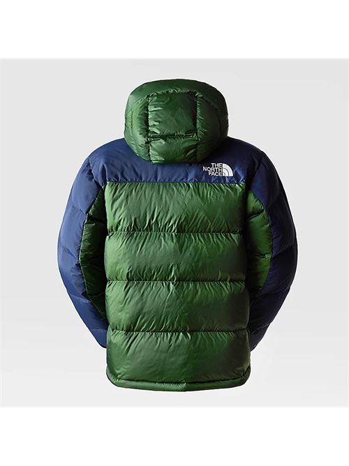 men's hmlyn down parka THE NORTH FACE | NF0A4QYXOAS1